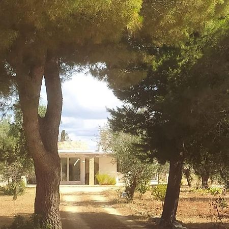 Trullo Contrada Specchi Apartment Racale Exterior foto
