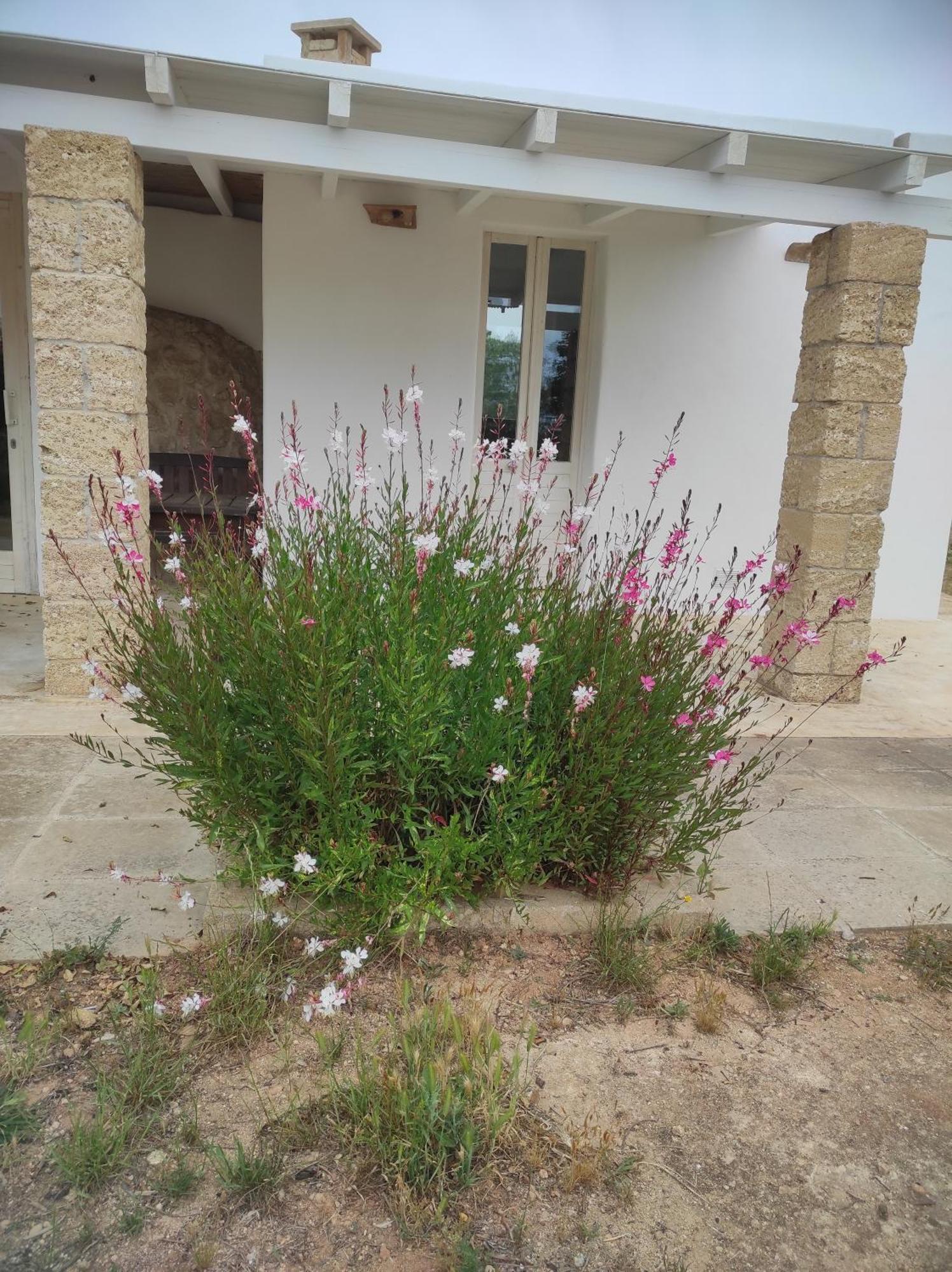 Trullo Contrada Specchi Apartment Racale Exterior foto