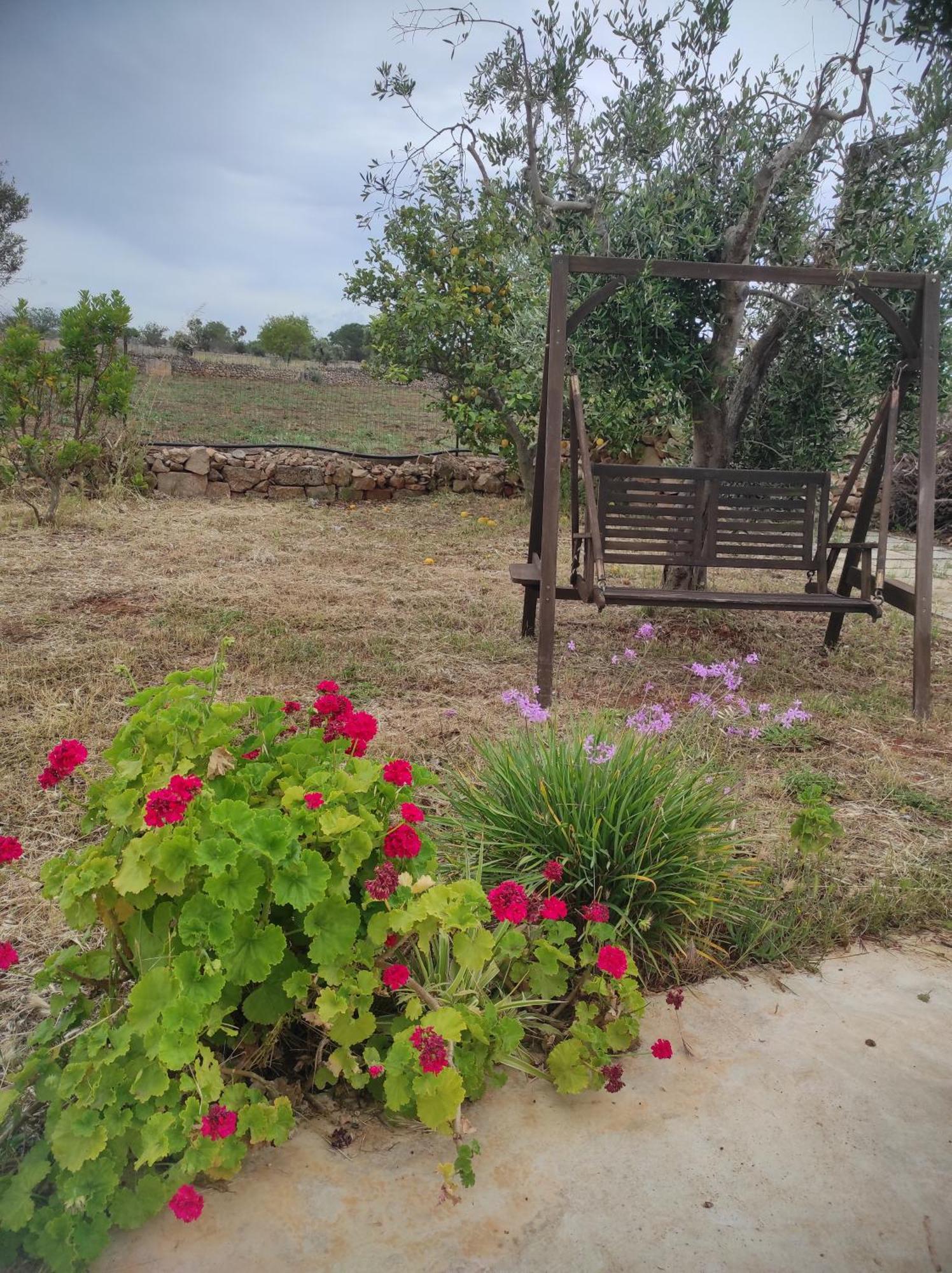 Trullo Contrada Specchi Apartment Racale Exterior foto